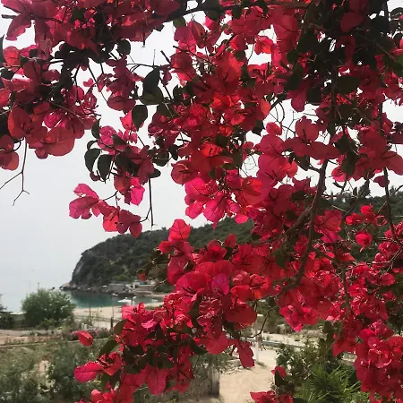 Apartment Calliope *