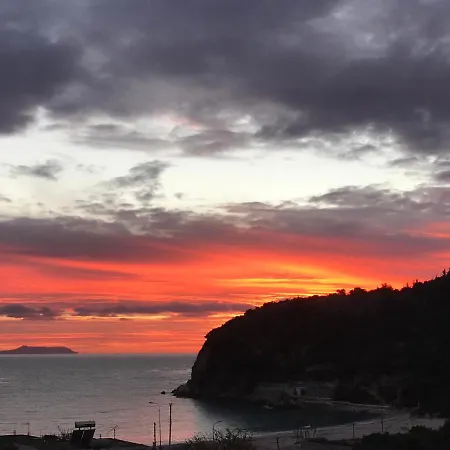 Calliope Himare