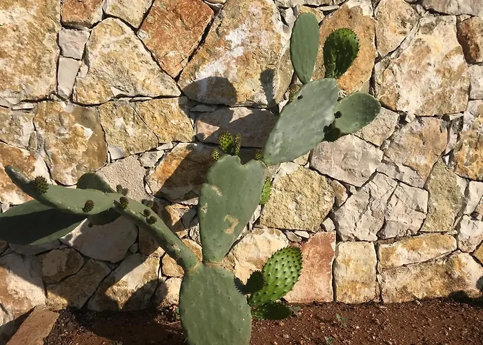 Calliope * 希马拉